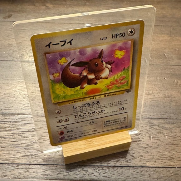 Pokemon Other - Pokemon Eevee Jungle Japanese 1996 Pocket Monsters LV.12 HP50 Common Card